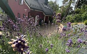 Apartamenty Lavender Hill